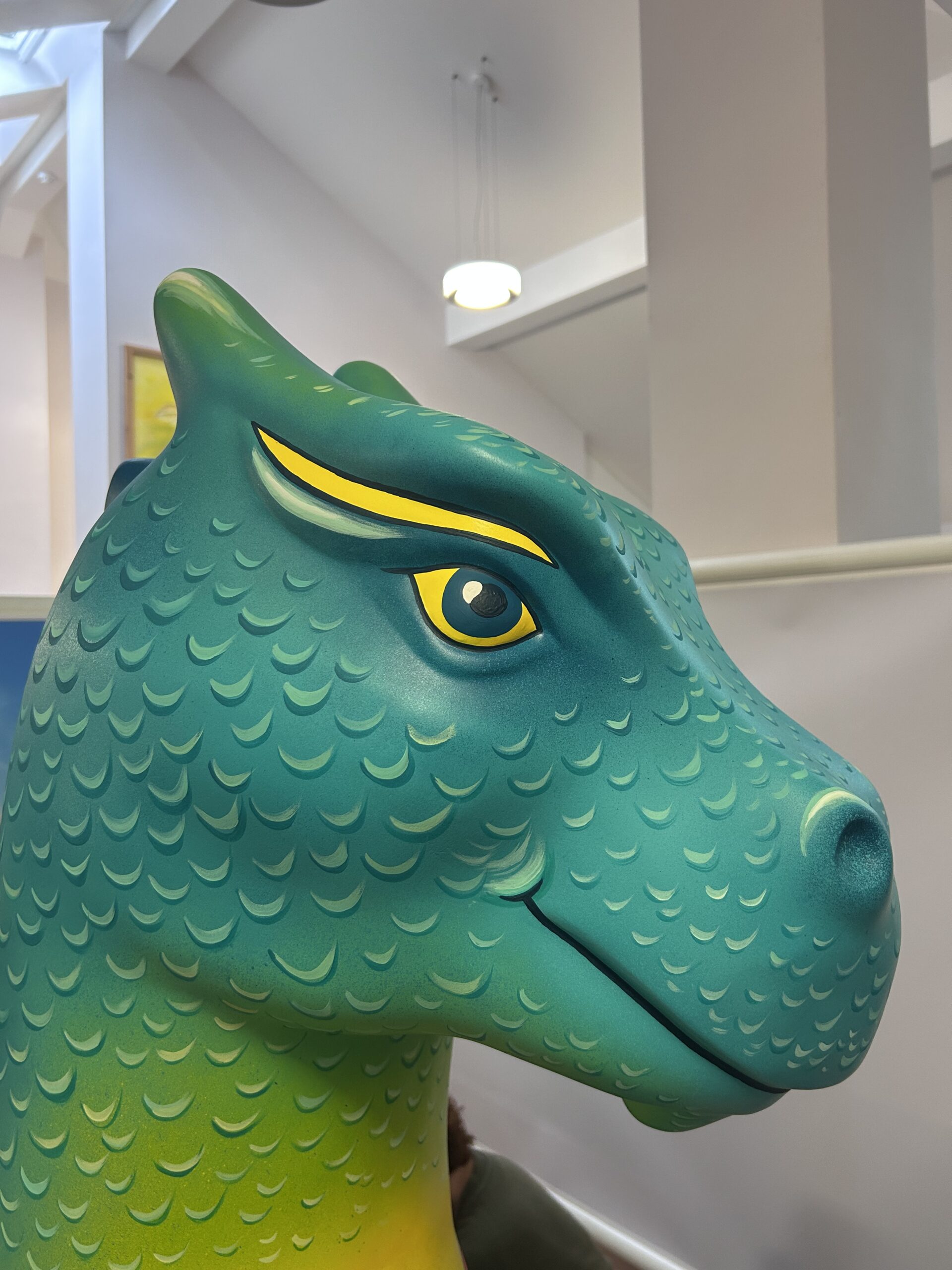 Sponsor A Dragon and launch Event